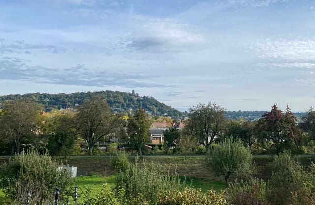 Sondervermögen Infrastruktur: Karlsruhe erhält 204,1 Millionen Euro