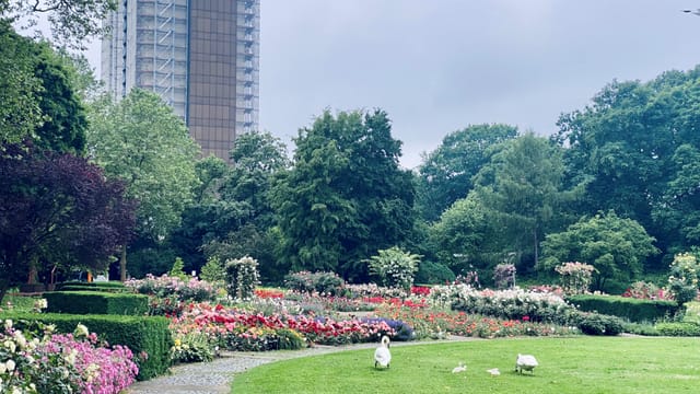 Land fördert „KSC macht Schule“ mit 15.000 Euro